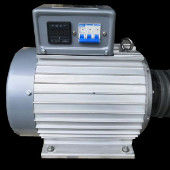 3600rpm 60Hz / 3000rpm 50Hz 고출력 대전기 3단계 발전기 대전기